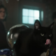 Cat with tongue in Hocus Pocus 2